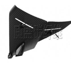 最輕的碳纖維紙飛機